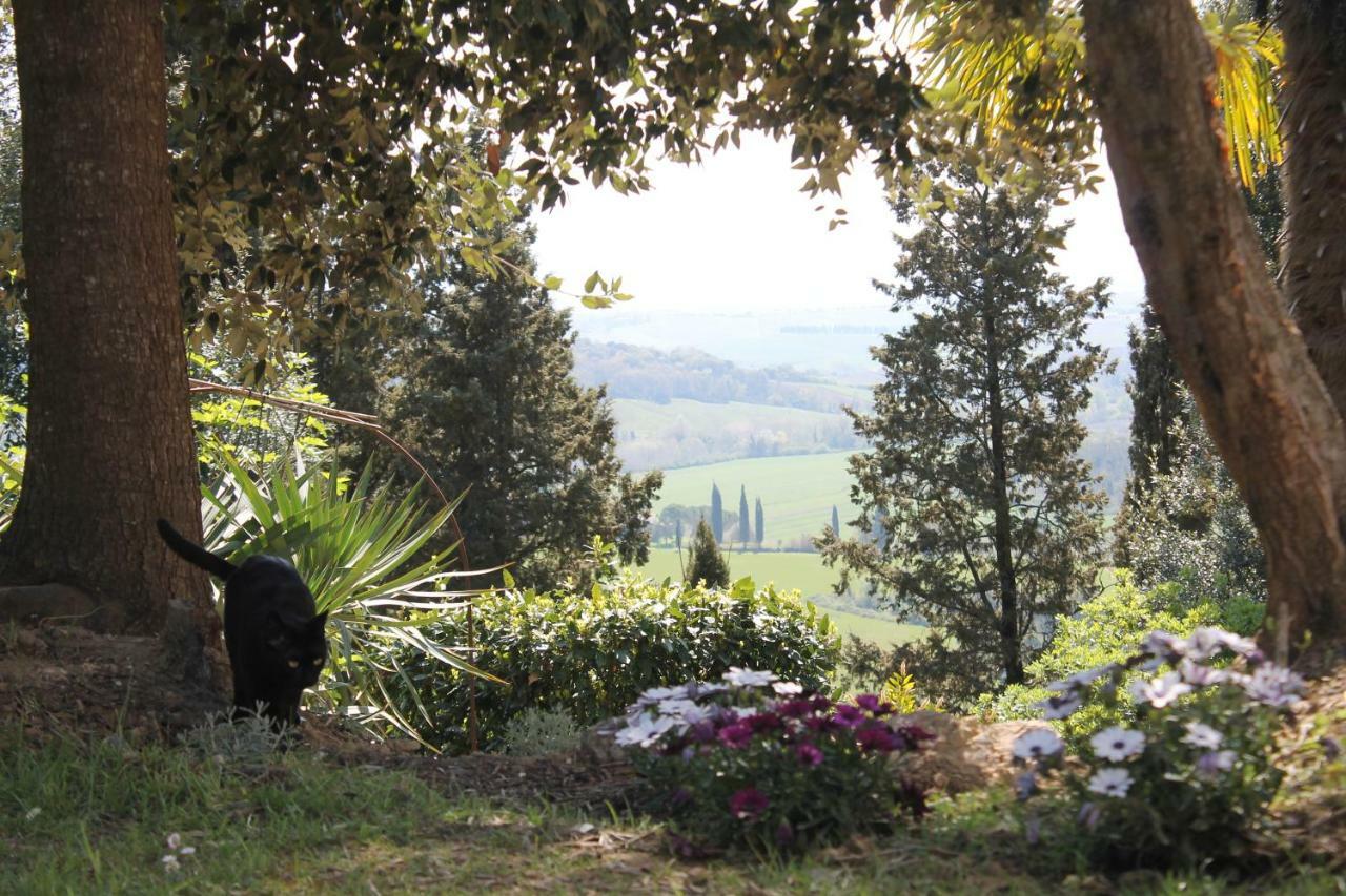 Bb Gli Aristogatti Bed & Breakfast Ghizzano Exterior photo
